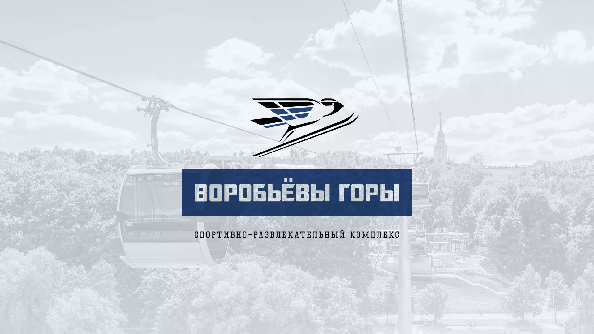 Разработка сайта в Дятьково для спортивно-развлекательного комплекса «Воробьёвы горы»